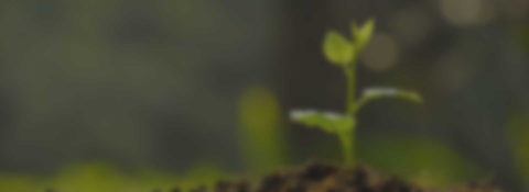 Liberty Lawn & Landscape